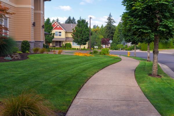 Cost of Sidewalk Patching in Jeffersonville